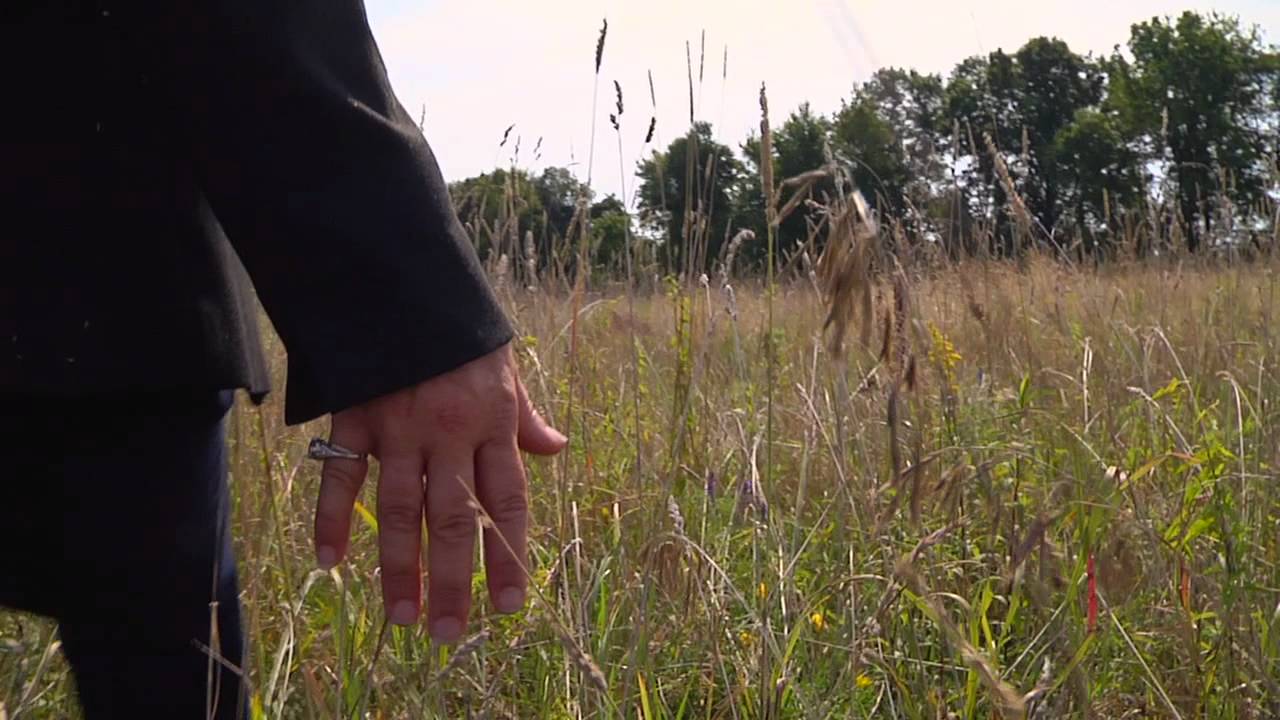 ExecutivePortrait Meredith presentation