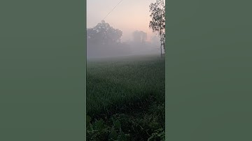 সুরা কাওসার - Egzon Ibrahim #egzonibrahimi #سورة_الكوثر #surahkawthar