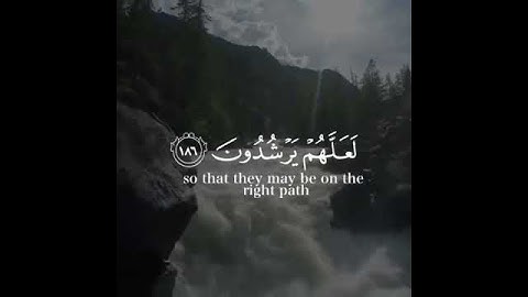حالات واتس اب القرآن الكريم بصوت القارئ إسلام صبحي