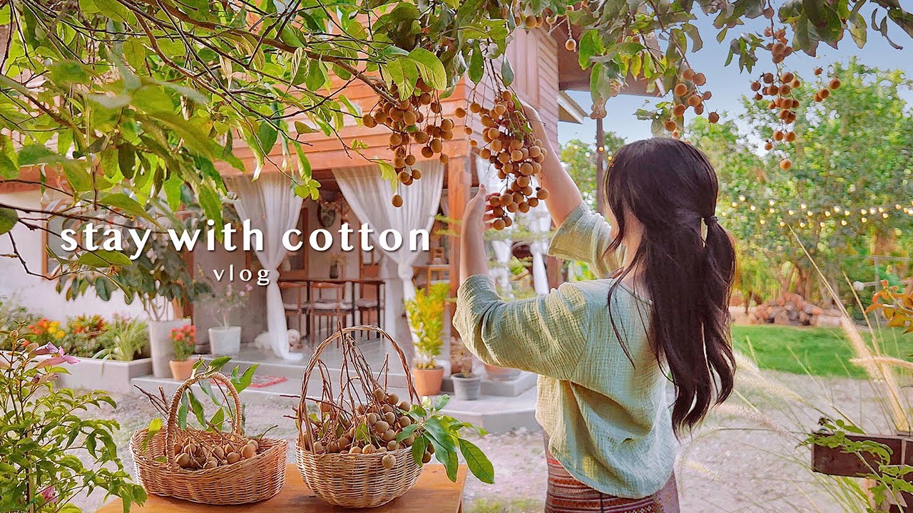 Собираем лонганы у бабушки дома 👵🏻🌿 | Готовим кокосовый заварной крем 🍰 | Кунжутное молоко 🥛 | VLOG