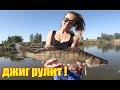 СУДАК РАЗОРВАЛ всю резину!!! Ловля на спиннинг на джиг. Рыбалка на Ахтубе осень 2018. Таня жжёт #9