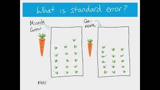 A2 Biology - Standard deviation, standard error and error bars