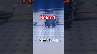 Roland Print &amp; cut machine #roland #machine #sticker #print #work