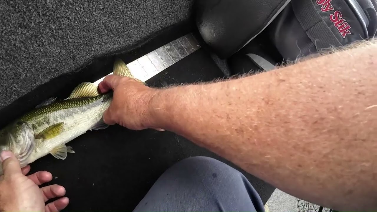 Lake Rupert bass fishing 5/13