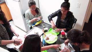 Ab Dreams Vlog 02 - Wow Fundraiser