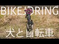 BIKEJORING with DOG |  Mushing Works Sled Dog Tours | Shikaoi Town, Hokkaido (バイクジョアリング@北海道鹿追町)