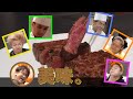 【excellent】料理が成功しちゃった集1【東海オンエア】