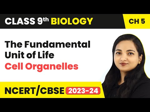 Cell Organelles - The Fundamental Unit of Life | Class 9 Biology