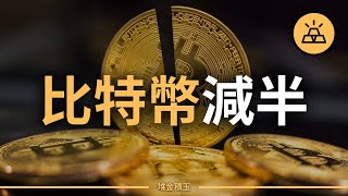 關於比特幣減半，你需要知道什麼 | 2024年價格趨勢預測 by 堆金積玉 6,479 views 2 weeks ago 13 minutes, 41 seconds