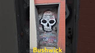 so many doors with graffiti on them in bushwick 😈 #graffiti #art