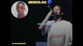 TK SMALL, SENZO.02 & BUKZIN KEYS - IMALI YEPHEPHA LYRICS VIDEO #tksmall #bukzinkeys #amapiano #piano