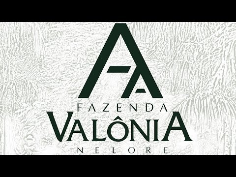 Lote 47 (Juliana XXXV FIV da Valônia - JAA 4281)