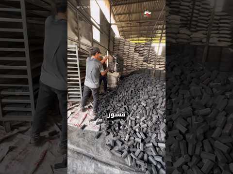 كيف يحول الفيتناميون قشور جوز الهند إلى فحم