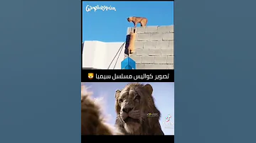 تصوير كواليس فيلم سيمبا Khaledkhadash خالد خداش 