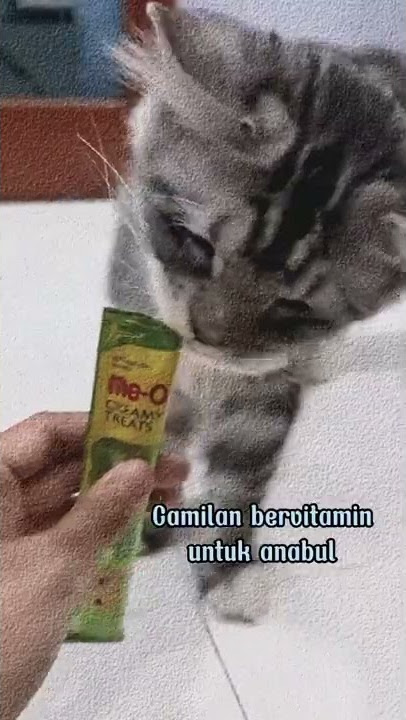 Me O Creamy Treats - Product Information