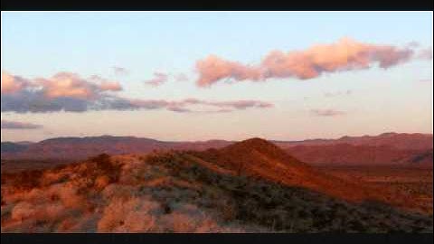 Joshua Tree National Park: Original Song "Under the Joshua Tree"