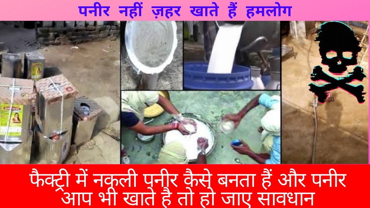 फैक्ट्री में नकली पनीर कैसे बनता है l Nakli paneer kaise banta hai ll