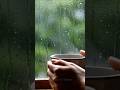 Satisfying Rain 🌧️ #rain #nature #satisfying