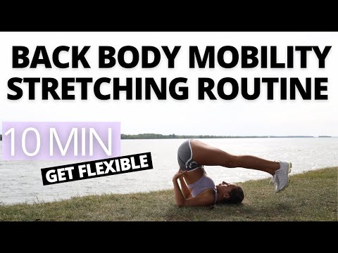 STRETCHING EXERCISES TO INCREASE BACK BODY MOBILITY | Hamstrings & Back Flexibility Stretch Routine