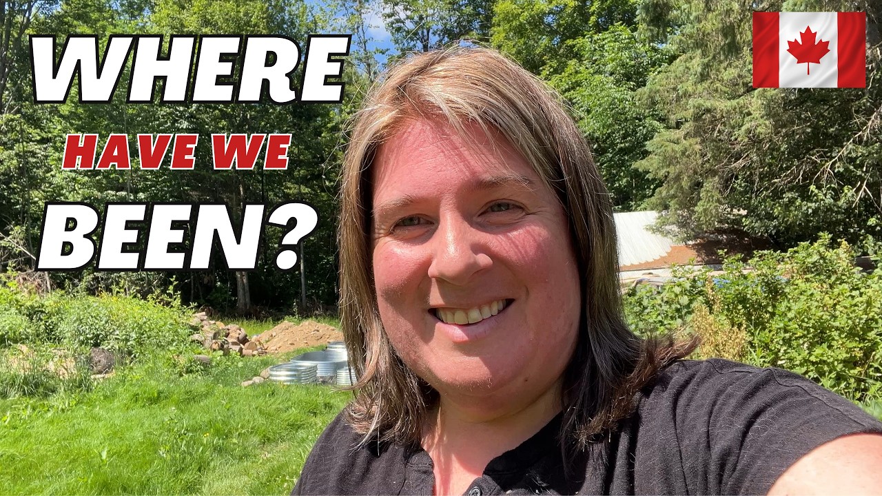 Where Have We been?