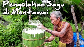 proses pengolahan tepung sagu di masyarakat Mentawai, Pulau Siberut