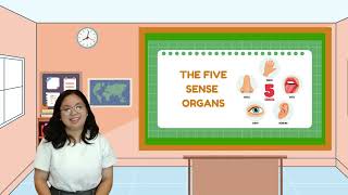 The Five Sense Organs | Teaching Demonstration | ED 11 EDA