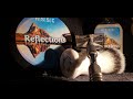 HSSC Reflections - Carbon Cx ++ Titanium Razor - Yaqi Everest Brush