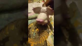 #shorts Pixie Belle  Toys Review  #kidsatplay