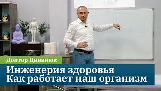видео: Инженерия здоровья: как работает наш организм. Доктор Циванюк картинка: Инженерия здоровья: как работает наш организм. Доктор Циванюк