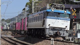 【JR貨物】遅５０７５レ ＥＦ８１-５０３