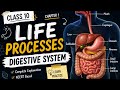 Ch -1 class 10th Life processes #Digestive system #Nutrition in humans #ncert #ncertsolutions