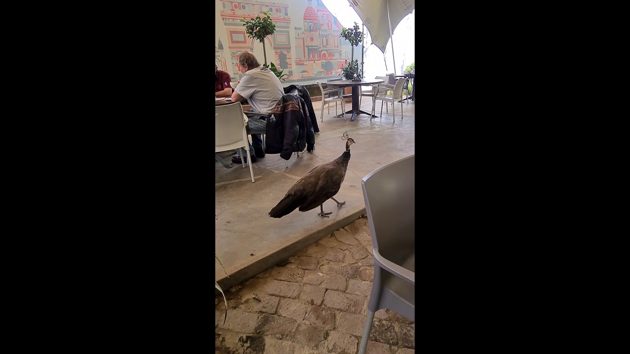 Our time at Little Paris