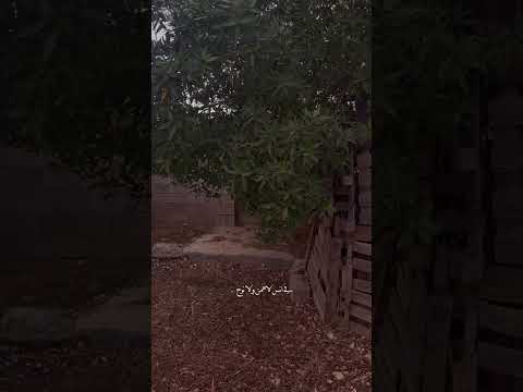 اذكر زمان قد مضى وراح