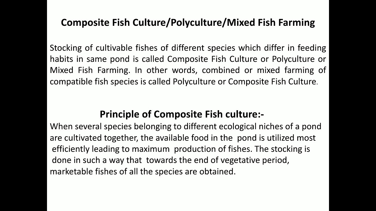 research paper fish culture