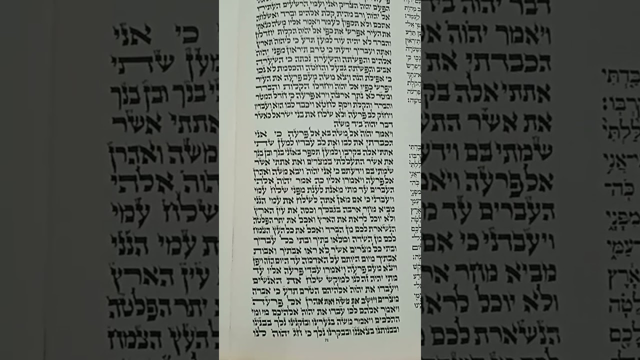 Torah Reading Parashat Bo Efraim Hachazan - קריאת התורה פרשת בא אפרים החזן