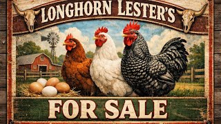Longhorn Lester’s Is On The Market!