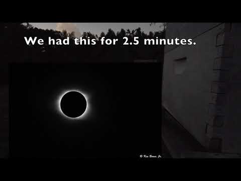 2017 Solar Eclipse - Honey Bee Reaction