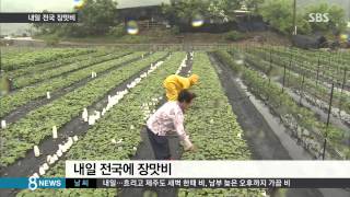 [사회] 중부, 내일부터 요란한 단비...얼마나 내릴까  (SBS8뉴스|2014.7.16)
