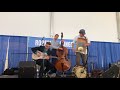 devil in a woodpile chicago bluesfest 2018