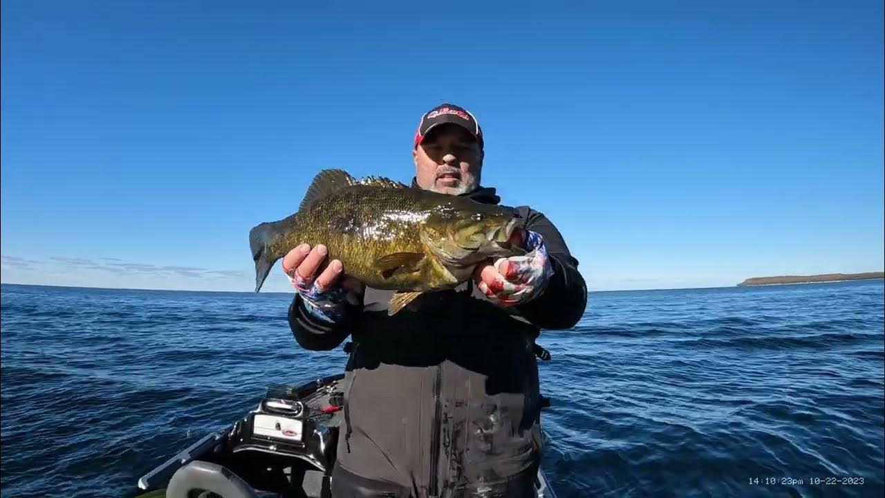 How to use Livescope on spooky bass YouTube