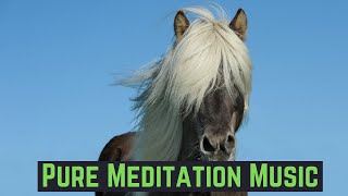 Wild Horse Rock Vibe Pure Meditation Music Positive Energy Vibration Brain Boosting Focus Music