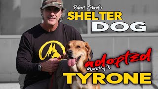 Shelter Dog Tyrone has been adopted at the west LA Shelter by Robert Cabral 1,253 views 4 months ago 3 minutes, 9 seconds
