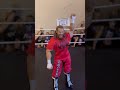 BLOODLINE WWE action figure COLLECTION #thebloodline #wweactionfigures #shorts