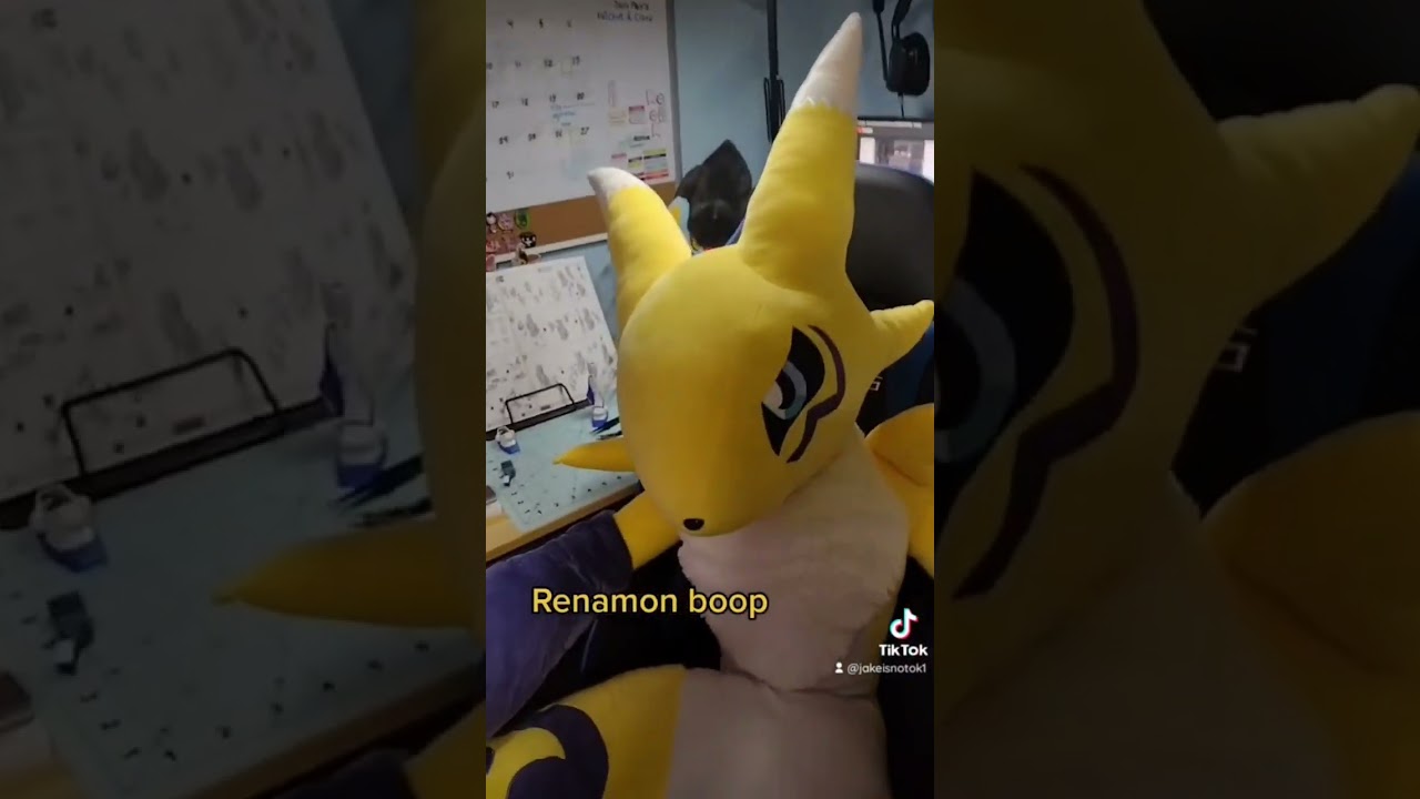 Renamon boop 