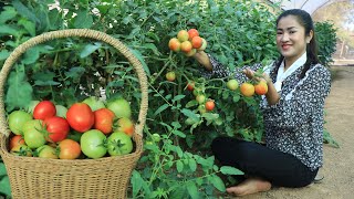 Pick ripe and round tomatoes for cooking / Shrimps tom yum soup recipe / Cooking with Sreypov