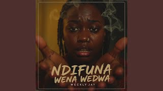 Ndifuna Wena Wedwa