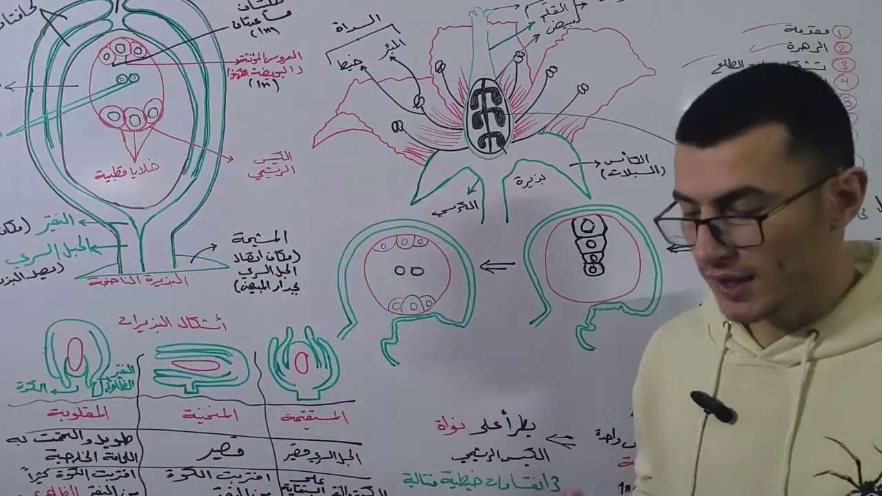 مغلفات البذور | البذيرة |