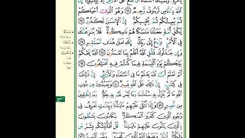 الصفحة (340) من المصحف الشريف ( سورة الحج - مشروع حفظ القرآن الكريم )