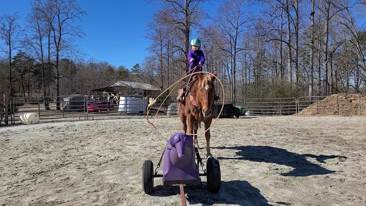 wrangler #Bridleless #Rope - YouTube