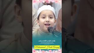 أمن تذكر جيران بذي سلم، البردة || محمد هادي السقاف
